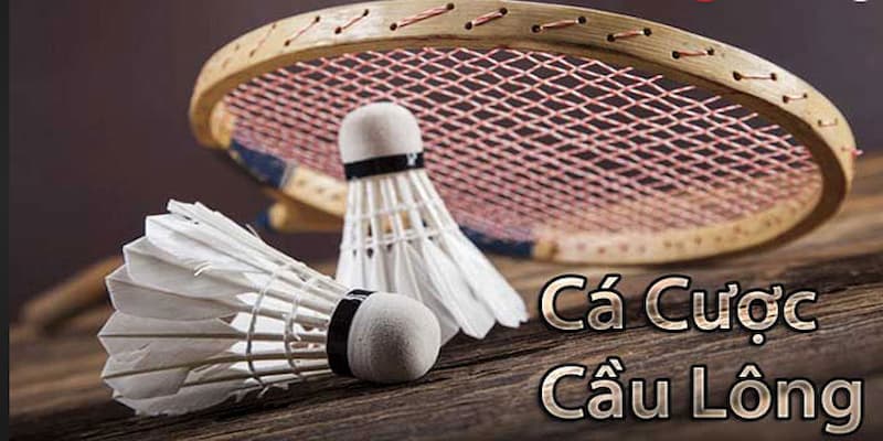 Bí quyết từ cao thủ khi chơi Cá Cược Cầu Lông